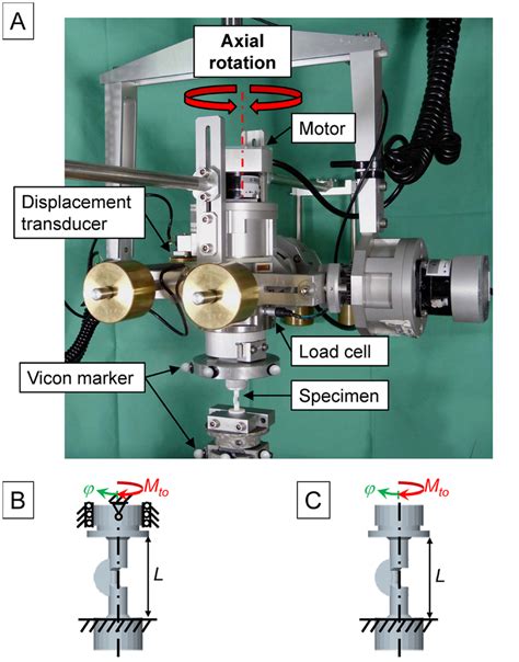 test for a torsion field|what is a torsional test.